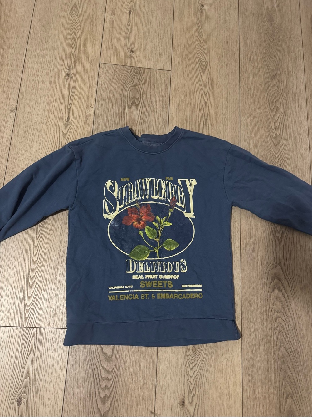 Urban Outfitters Navy Sweatshirt with Strawberry Graphic